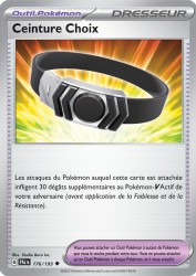 Ceinture Choix 176/193