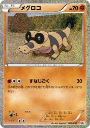 Sandile 008/009