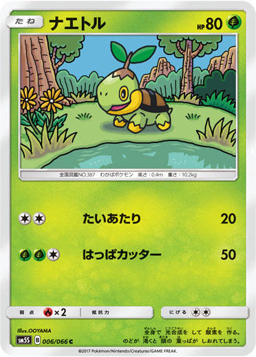 SM5-Turtwig.jpg