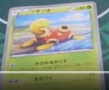 Shuckle-XY102.jpg