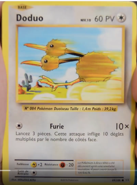 doduo.PNG