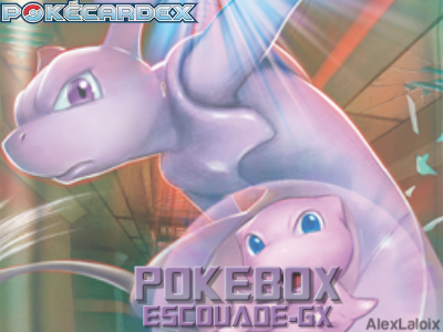 pokebox escouade.png